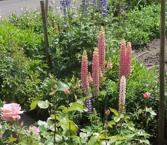 Beck Apartamento Wilderswil